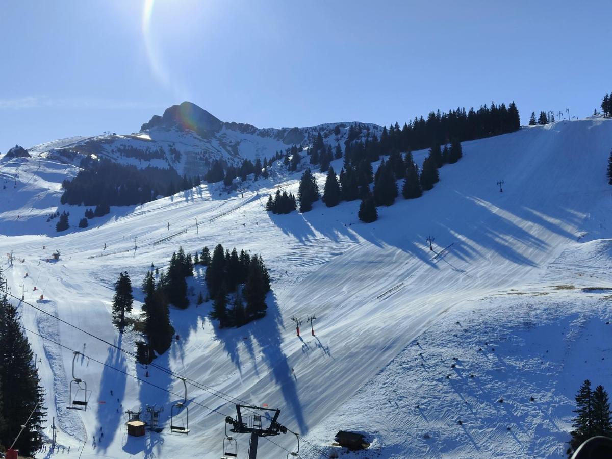 Chalet Recent Coeur Station Thollon-les-Memises Kültér fotó